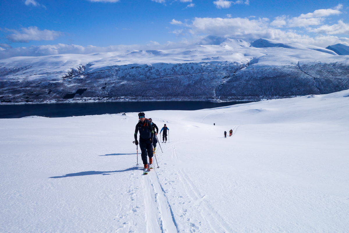 Skifahren am Fjord bei Skitourenreise in Norwegen