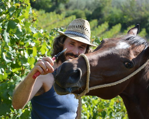 Food experiences San Gimignano: Tour of the winery and wine tasting of San Gimignano