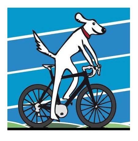 Salt Dog cycling
