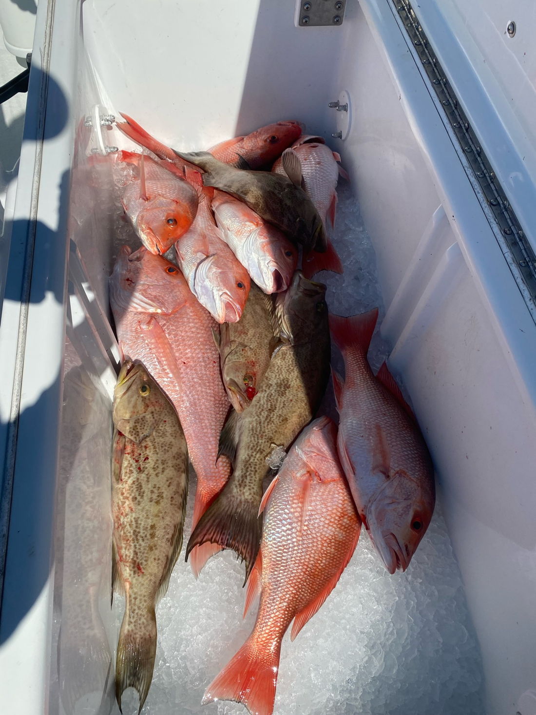 Boat Charter Destin fishing charter photo