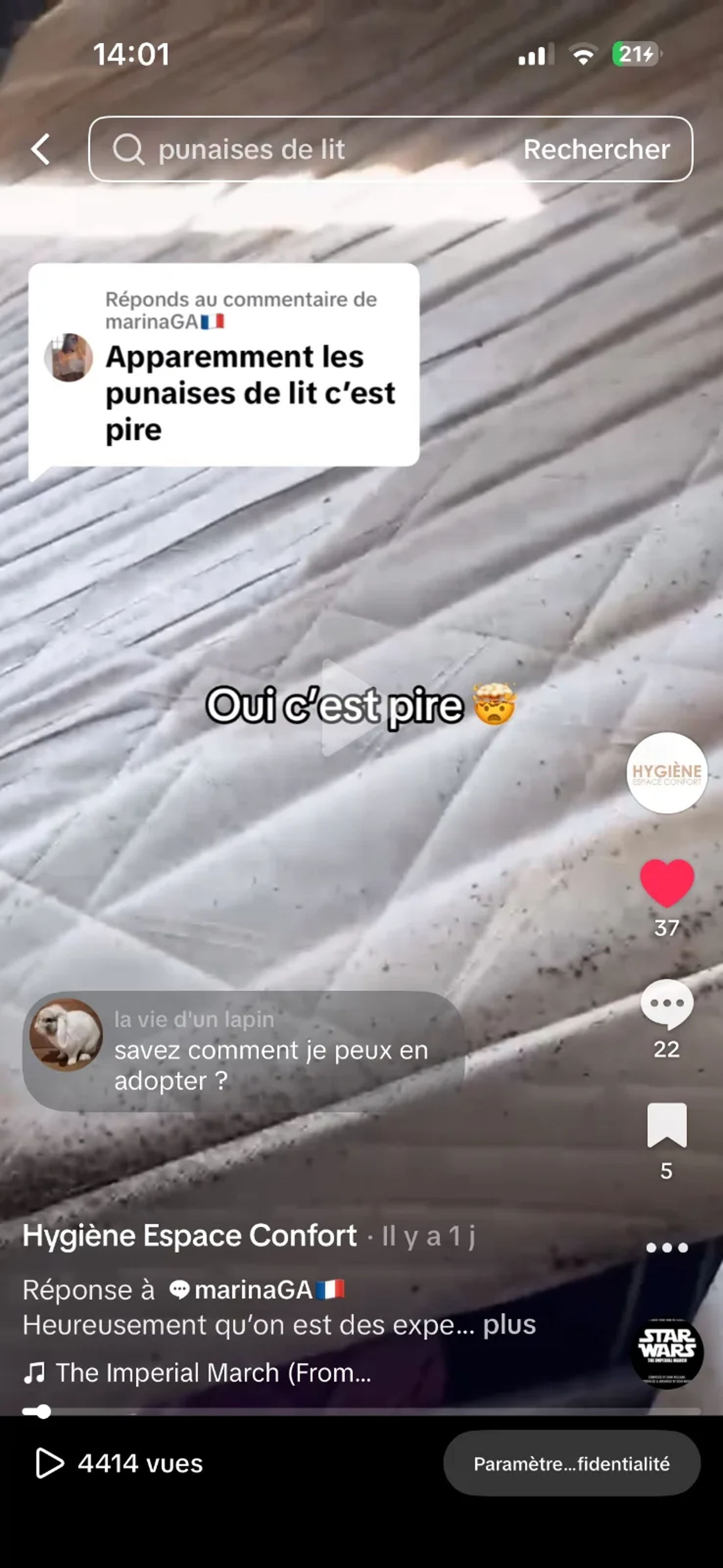 Punaise de lit : intervention rapide à Clichy à Clichy