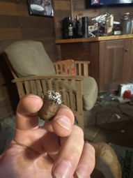 Cigar Session Photo