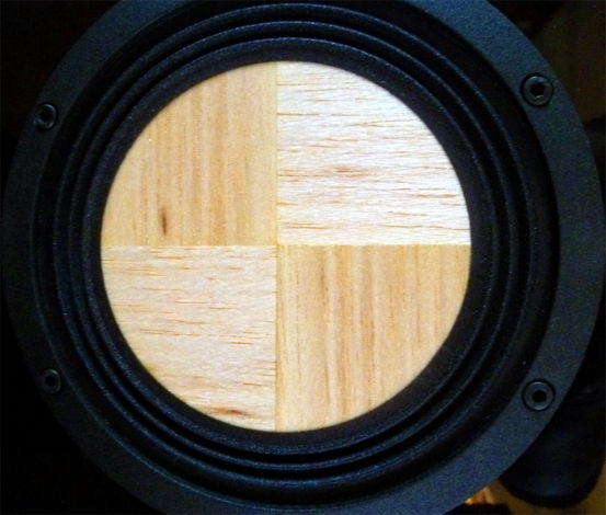 Contrast Audio's 5.5" woofer with wooden diaphragm