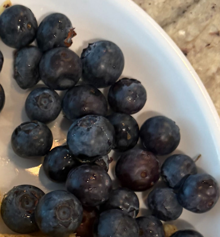 U-Pick a Winner: Top Blueberry Farms in North Georgia