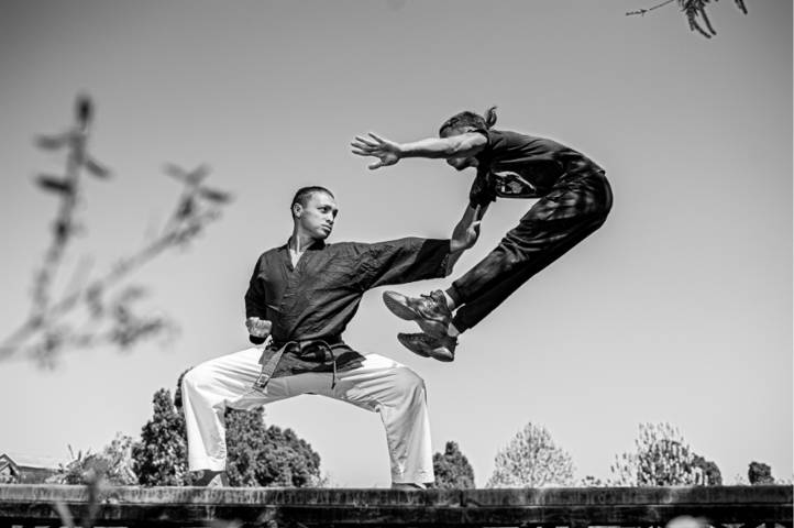 Templar Martial artist