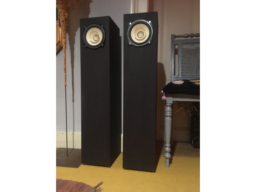 Voxativ FIT - Five Inch Tower Fullrange speaker with handmade Voxativ 5" unit