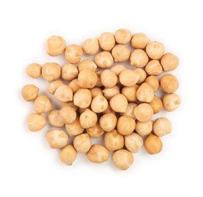 Trulean Premium Protein Powder - Pea Protein