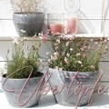Startseite - Mobil - Outdorr Dinning