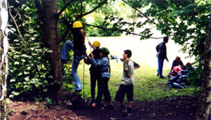 die wipfelstürmer waldparty