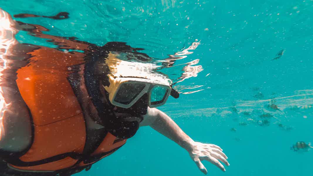 From Dubai: Snorkeling Trip to Fujairan - photo 3