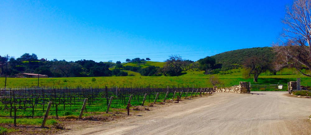 Temecula Valley vineyard