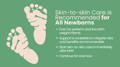 Baby foot prints | My Organic Company