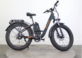 Pourquoi Rad Power Bikes a connu un tel succès aux États-Unis ?