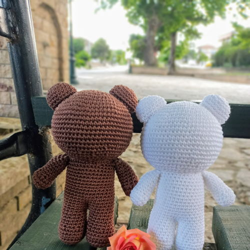 Bruine en witte berenpaar