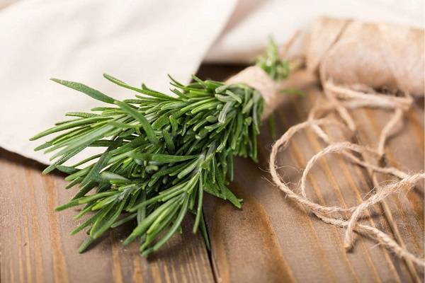 Kitchen Twine 101