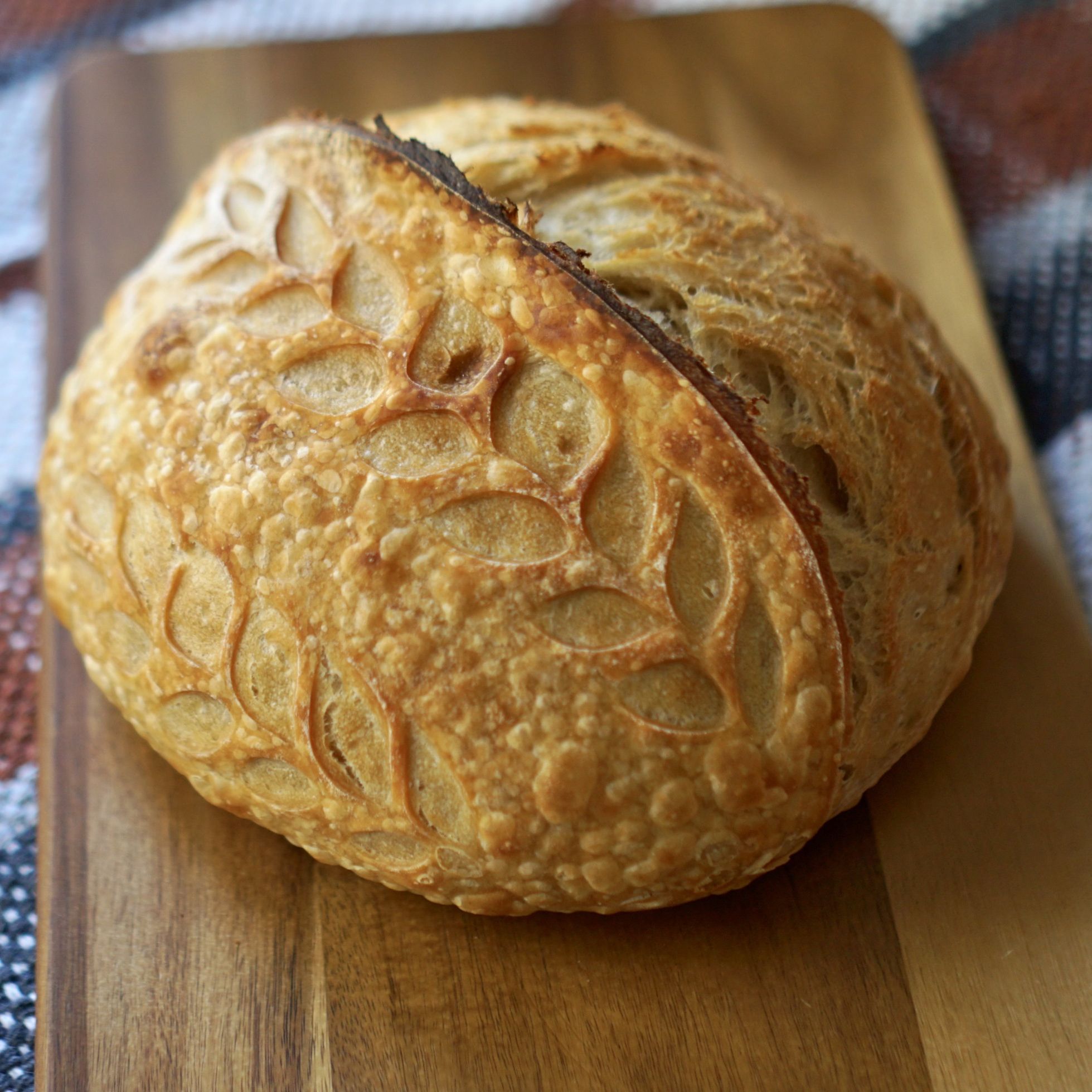 Cari the Bookish Baker — photo from hotplate.com
