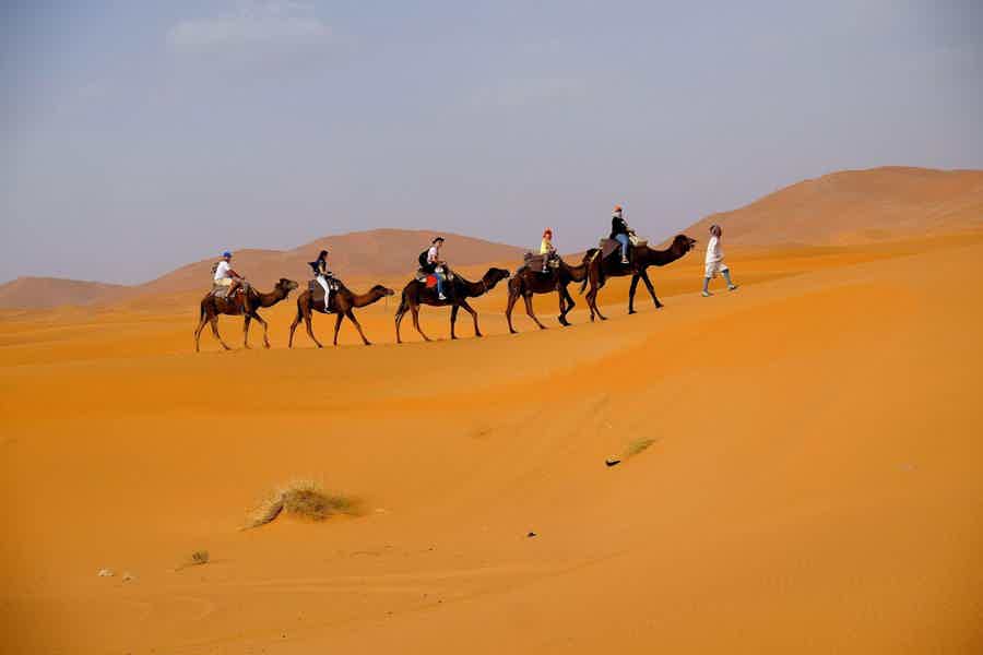 From Dubai Safari: Elite Desert Safari Experience with BBQ Dinner - photo 1