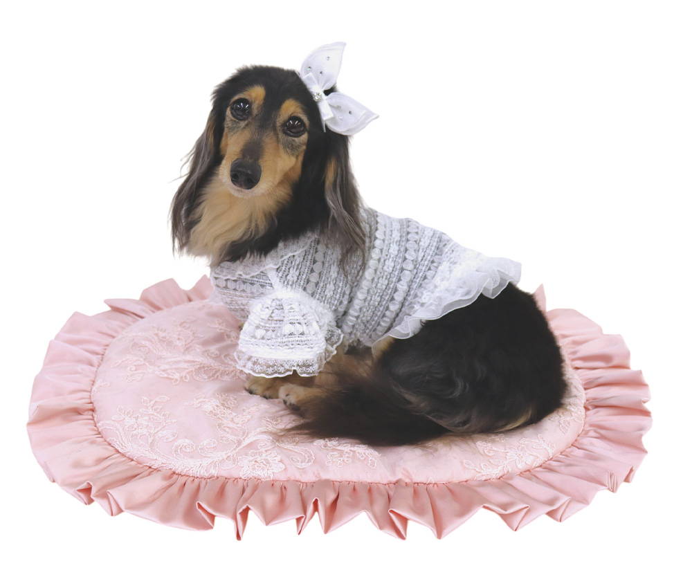 リュクスバーディLuxe birdieシルエットワンピバレッタセットブルー犬服 Luxebirdie（リュクスバーディ）|小型犬とのリュクスな生活を楽しむ