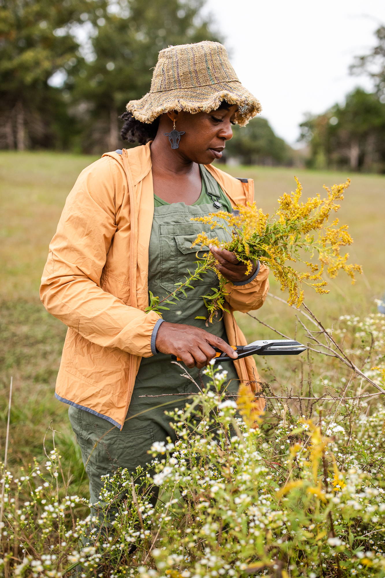 Welcome to Farmer Cee at Dovetail