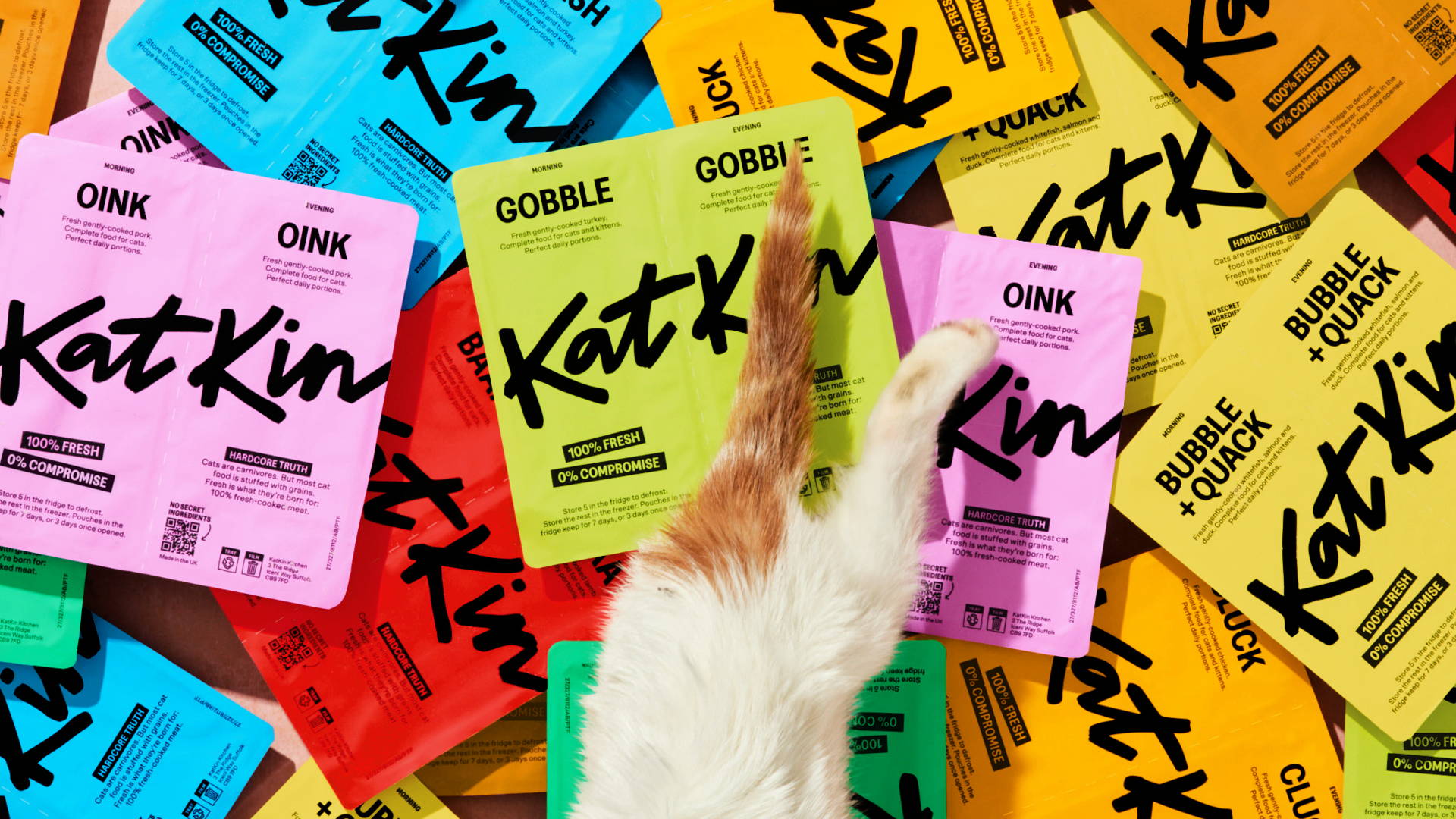 Featured image for Center-Designed KatKin Is For Hardcore Cat Parents