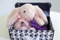 Stuffed Bunny Gift Set for Kids, Xander the Microwaveable Bunny - Lavender-Life.com