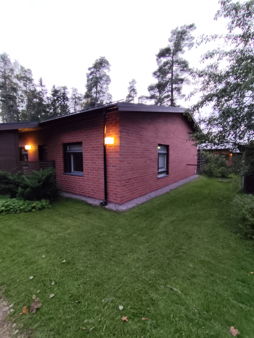 profile-6