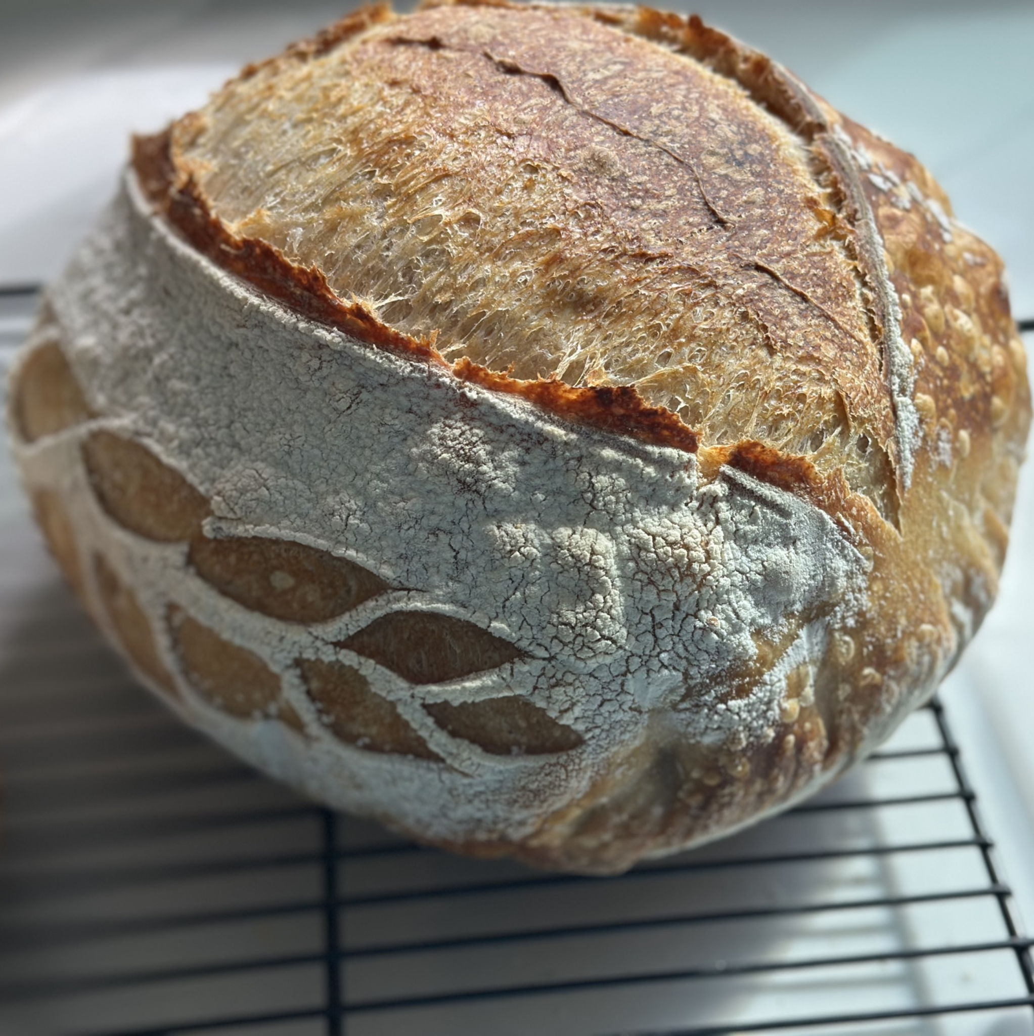 BC Bakery — photo from hotplate.com