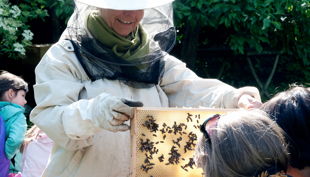bienen bausmuehle natuerlich lernen solingen