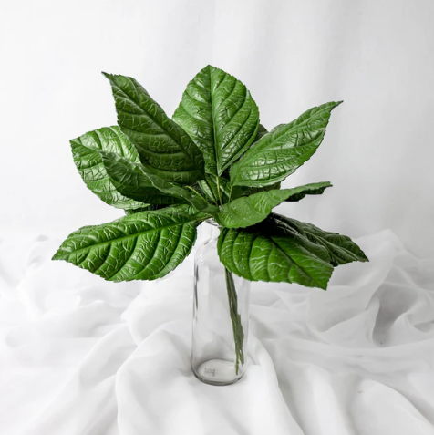 Hydrangea Leaf (12 Pack) - Realistic Artificial Flowers and Greenery