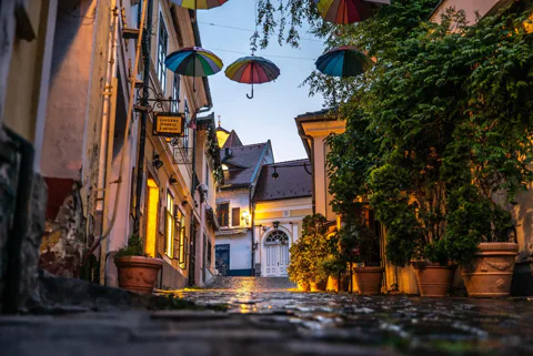 Full or Half Day Danube Bend Cruises (Szentendre, Visegrád)