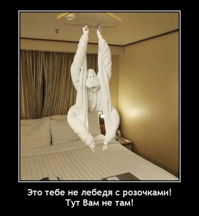 Это тебе не лебедя с розочками! Тут Вам не там!