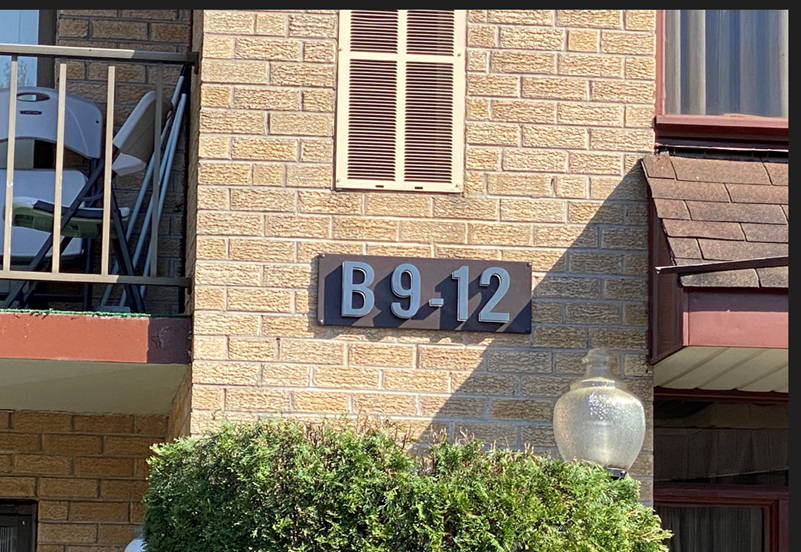 Illuminated address numbers