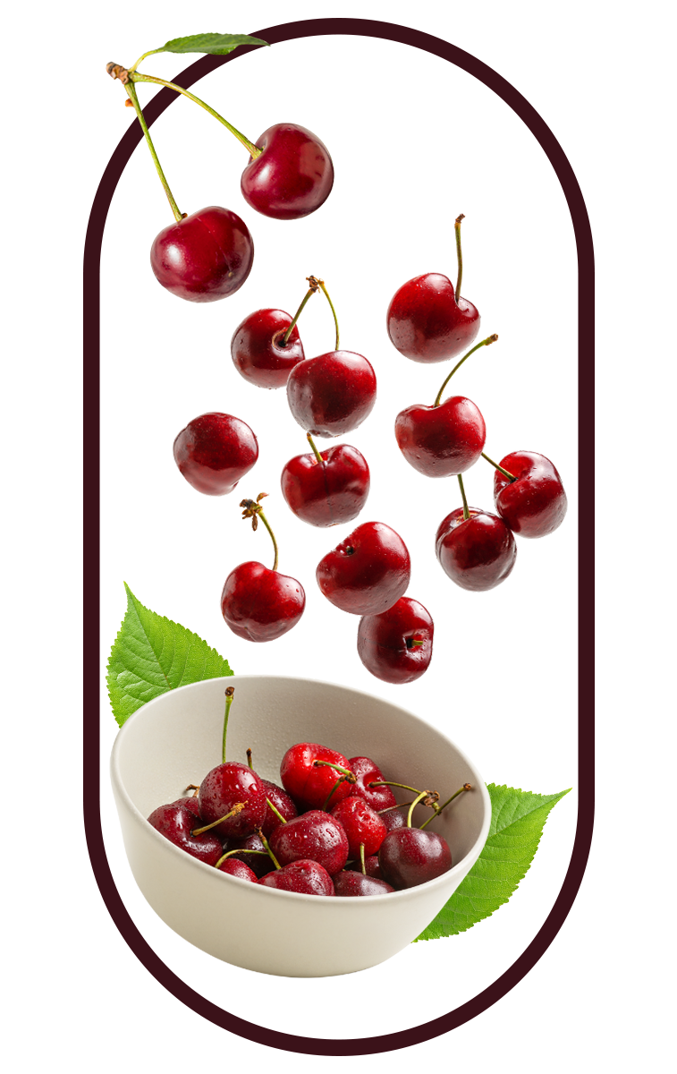 several tongkat ali roots, the key ingredient in the best tongkat ali singapore