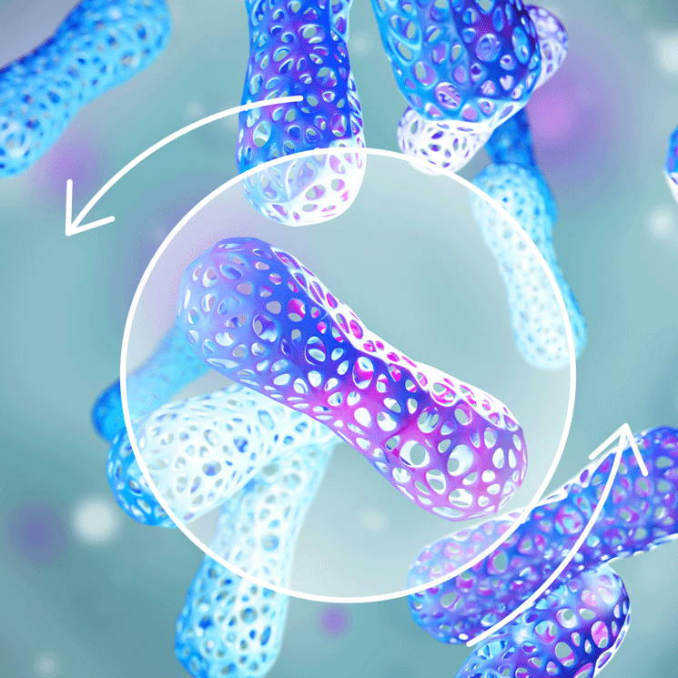shape-of-beneficial-Bacillus-probiotics shape of beneficial probiotics