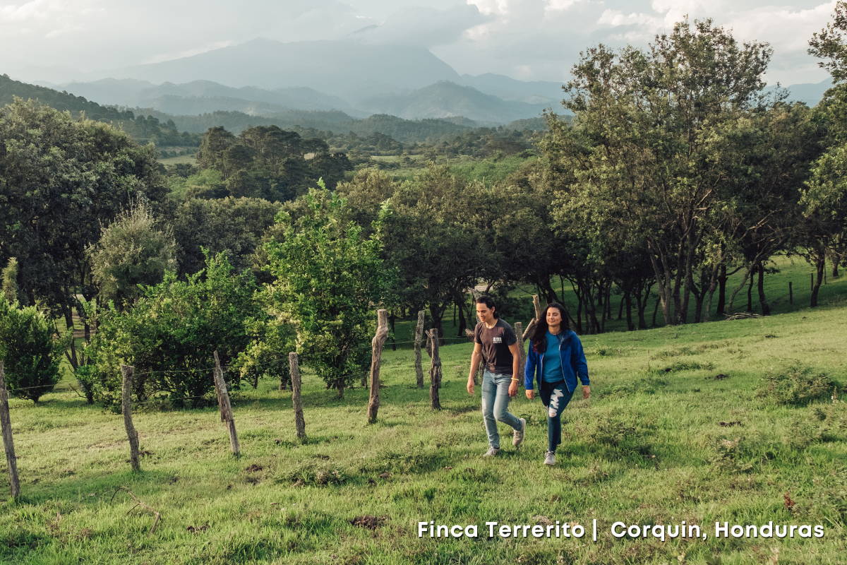 Image of Finca Terrerito: a Coffee Farm in Corquin, Honduras