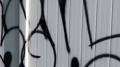 Vinyl Siding