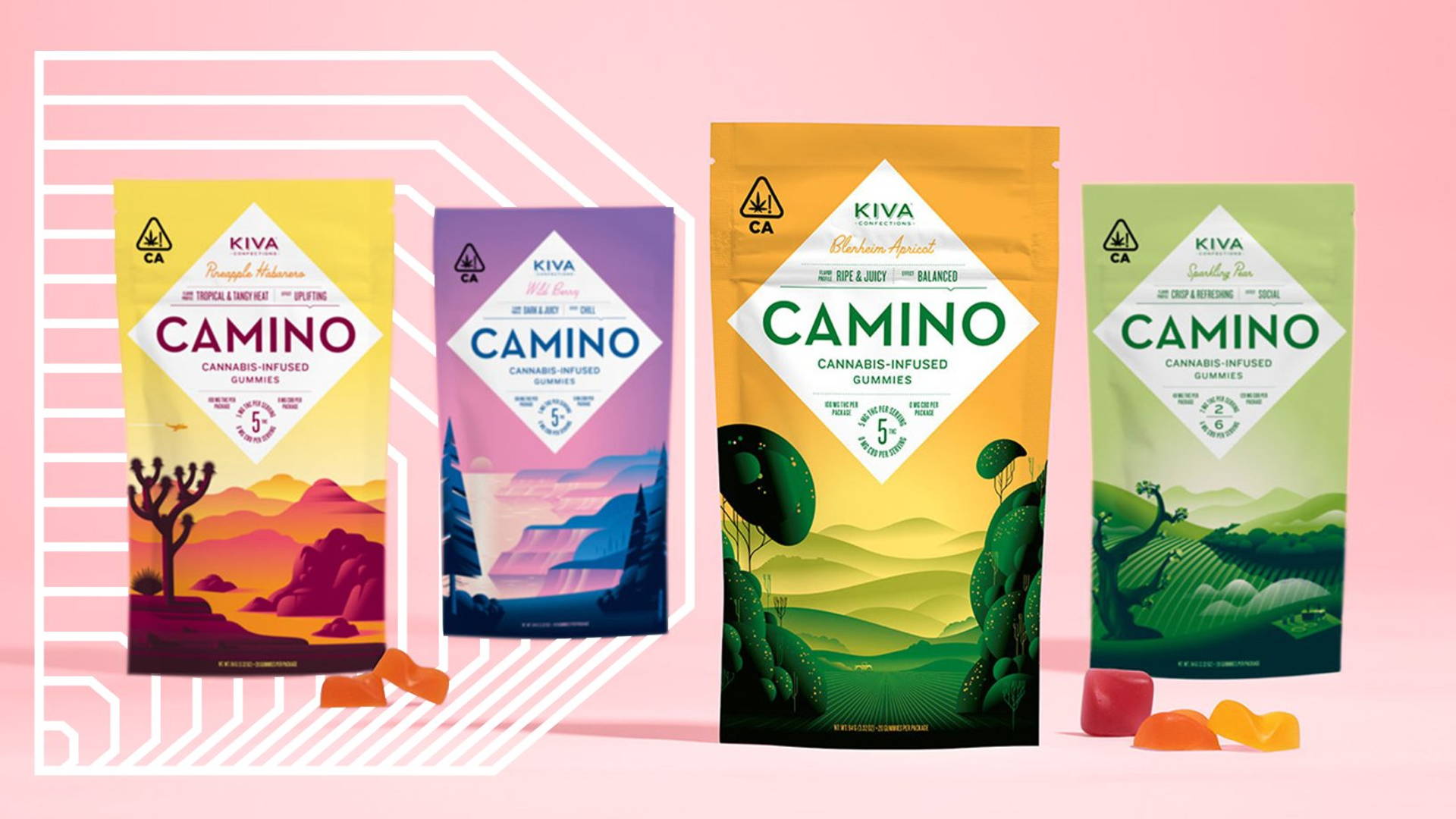 Featured image for Pack of the Month: Camino Gummies Transport You To The El Camino Royal