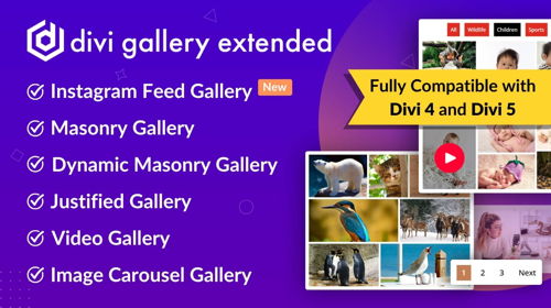 Divi Gallery Extended