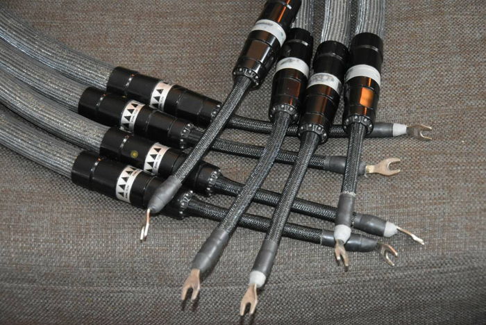 Stage III Concepts Vacuum Reference Speaker Cables w/ S...
