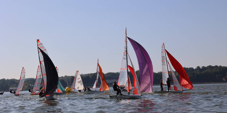 Newsletter September 2024