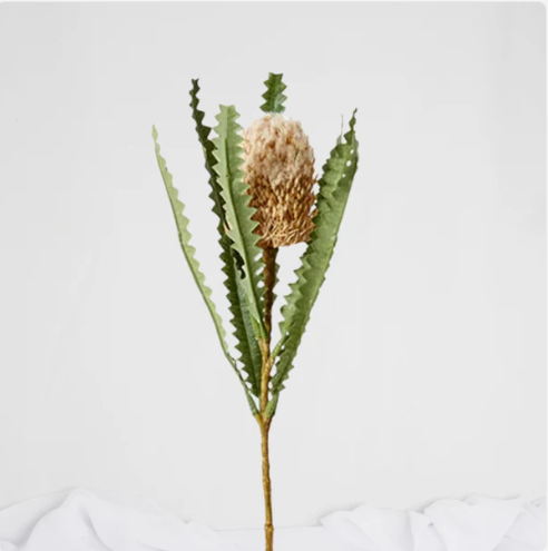 Mini Banksia Cream - Realistic Artificial Flowers - Image 2