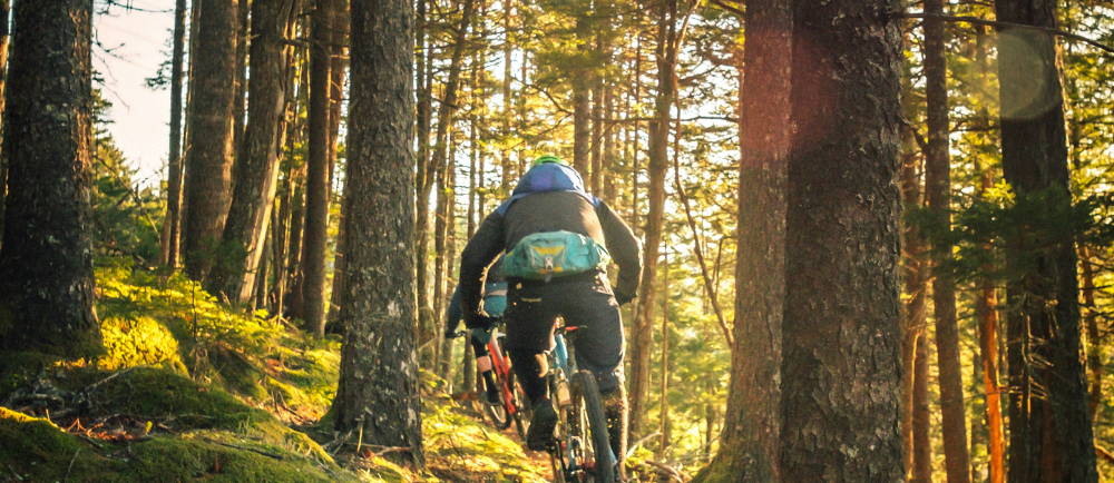 two people riding electric mountain bikes in the forest
