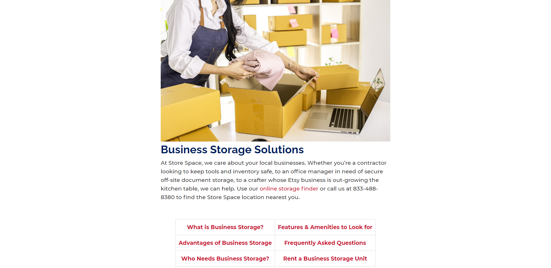 Store Space Self Storage product / service