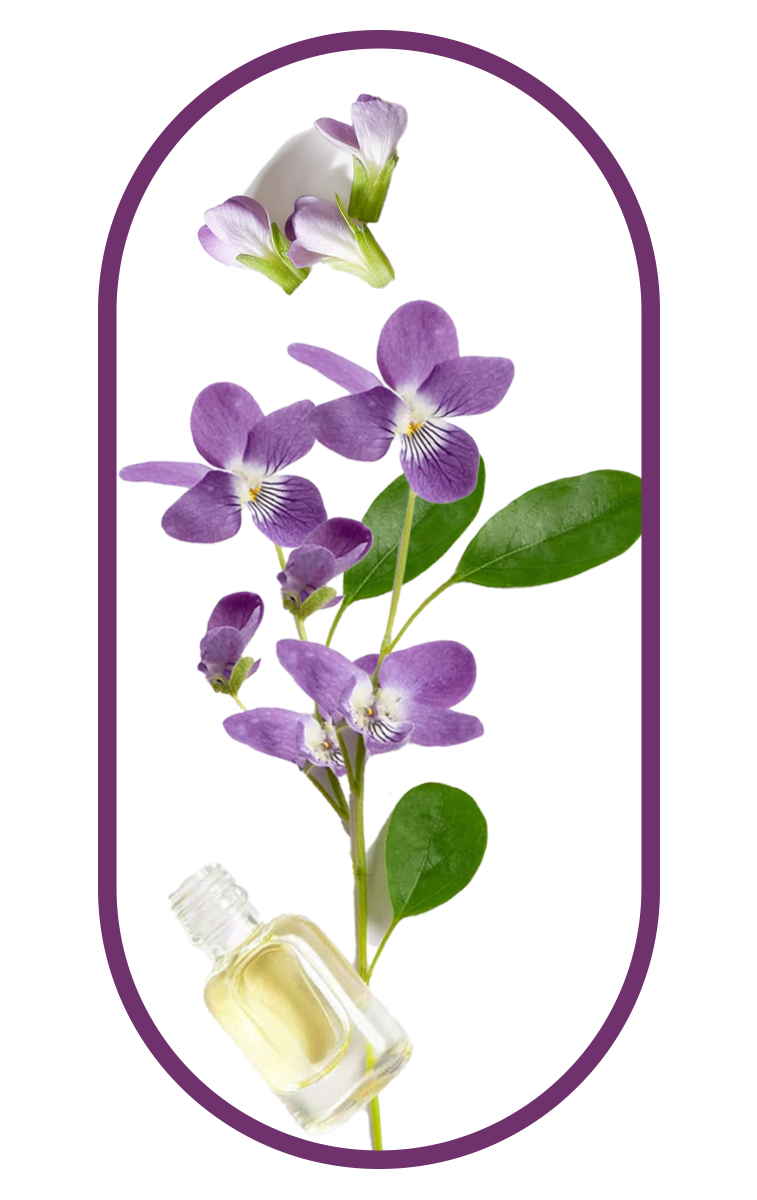 calcium as an ingredient of nano singapore's K2 Vitamin with D3 for Bone and Heart Health Supplement