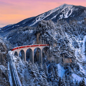 Swiss Alps Train Adventure