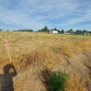 Building our Dream Home in Idaho!