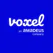 Voxel Group
