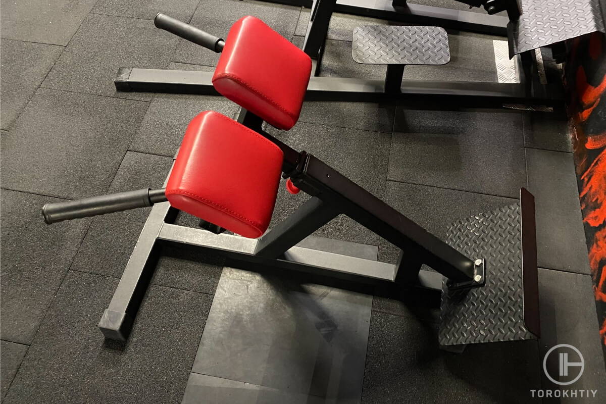 6 Best Roman Chairs in 2023 – Torokhtiy Weightlifting