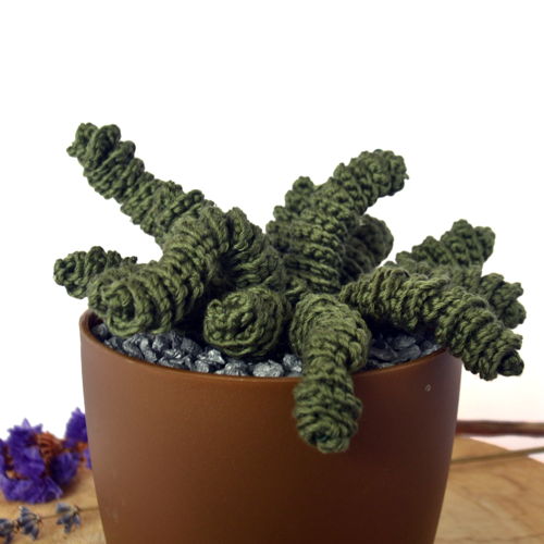 E-book patronenboek "Groene vingers": 18 plantpatronen voor in huis
