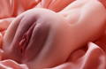 pocket Vagina